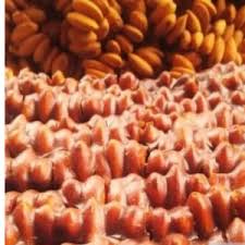 Almond Kelawo