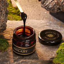 Organic Shilajit 20g